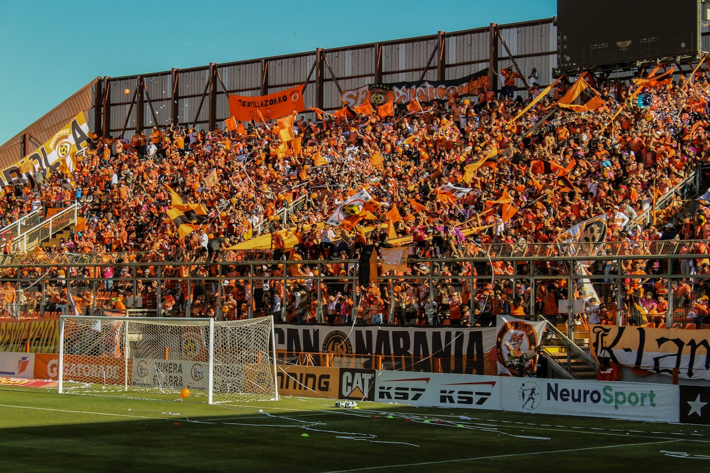 Migliaia di tifosi in arancione e nero esultano a una partita di calcio.